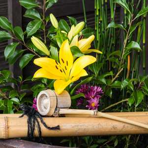 健康は数値だけでは測れない